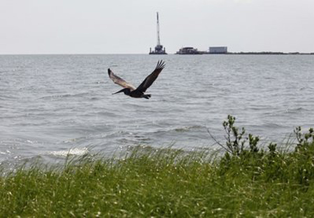 Người nhà nạn nhân MH370 an ủi thân nhân hành khách MH17